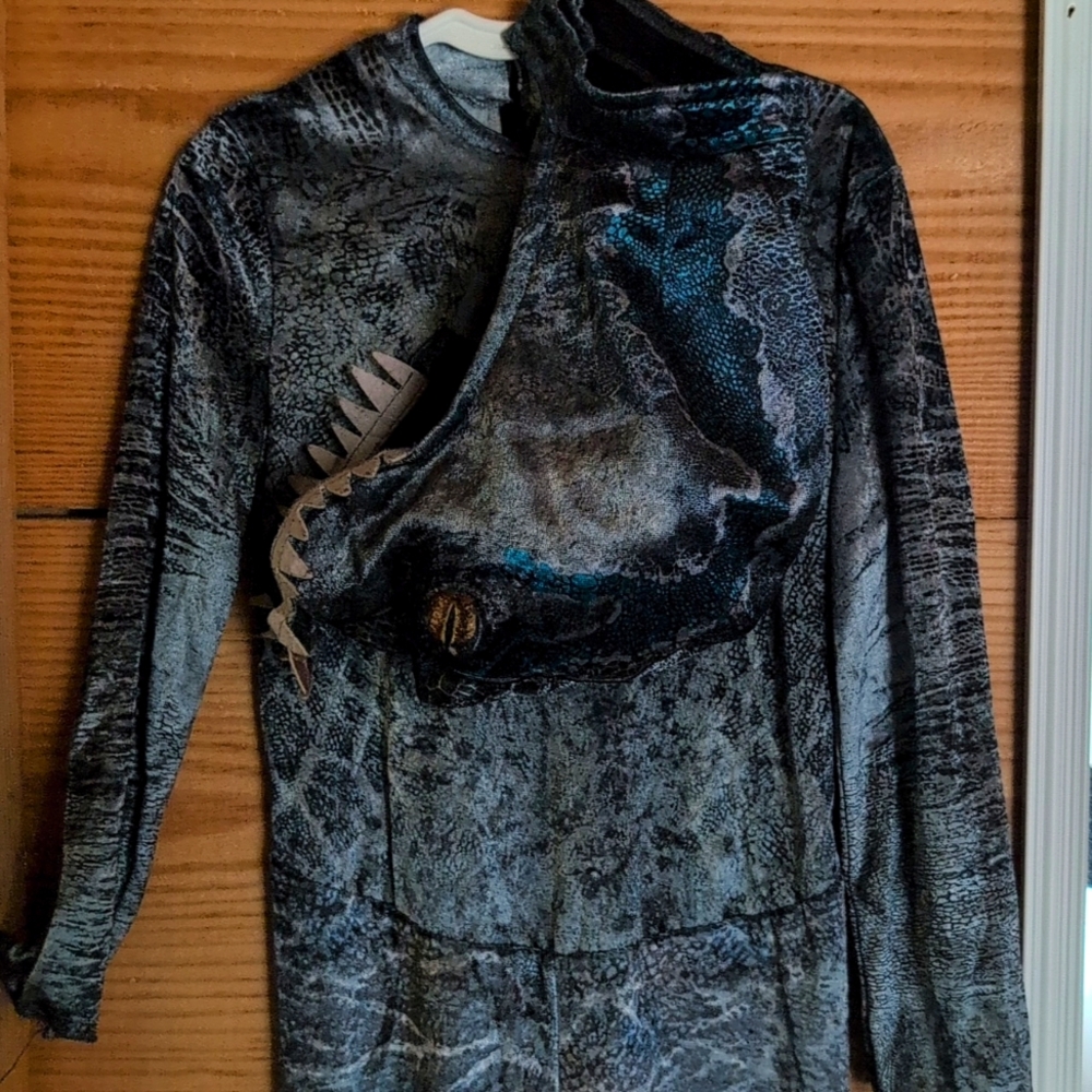 Dinosaur costume